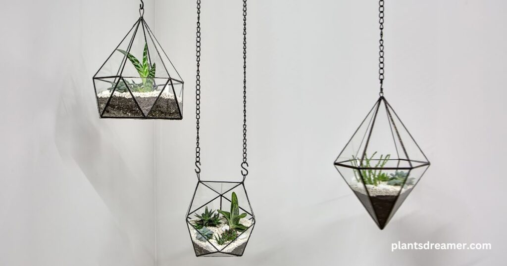 Incorporating Hanging Plants