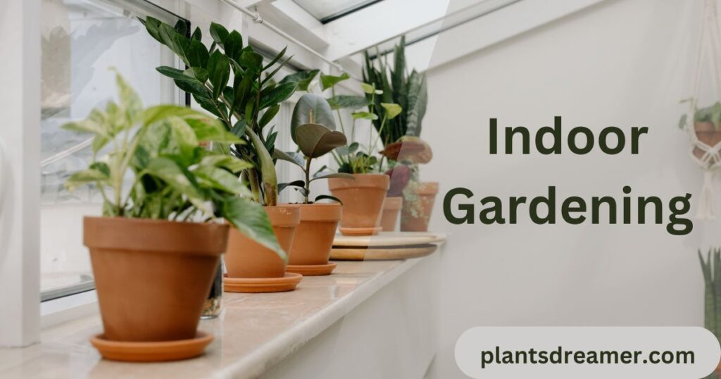 Indoor Gardening