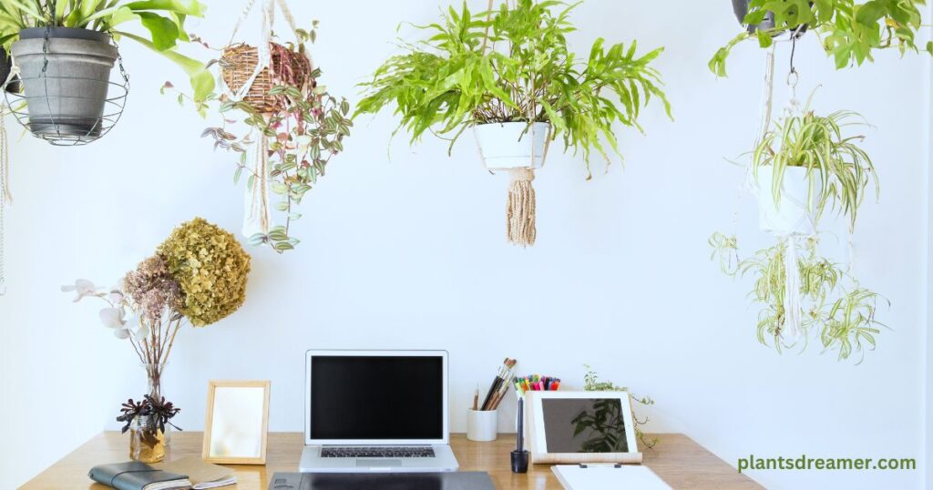 Indoor Hanging Planters Saves Space