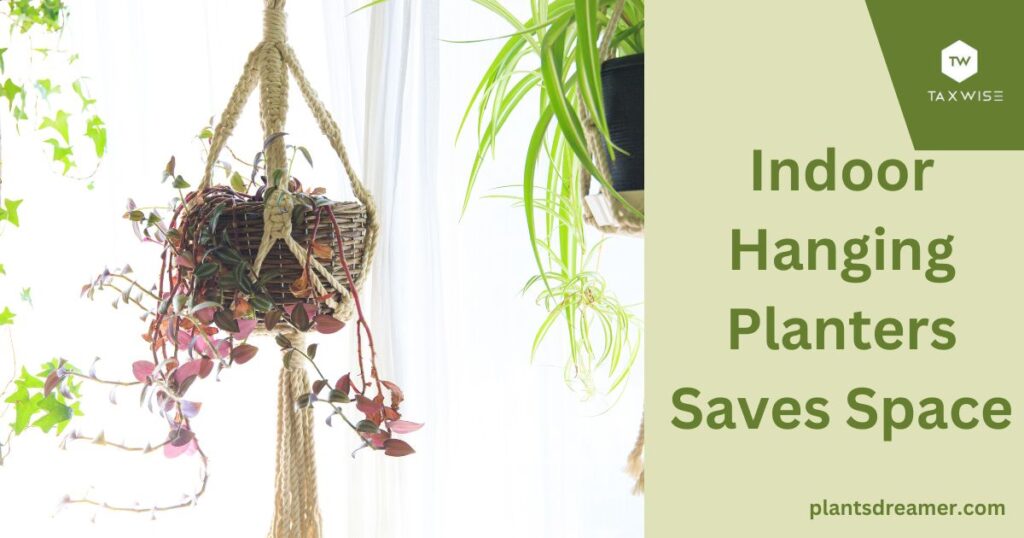 Indoor Hanging Planters Saves Space