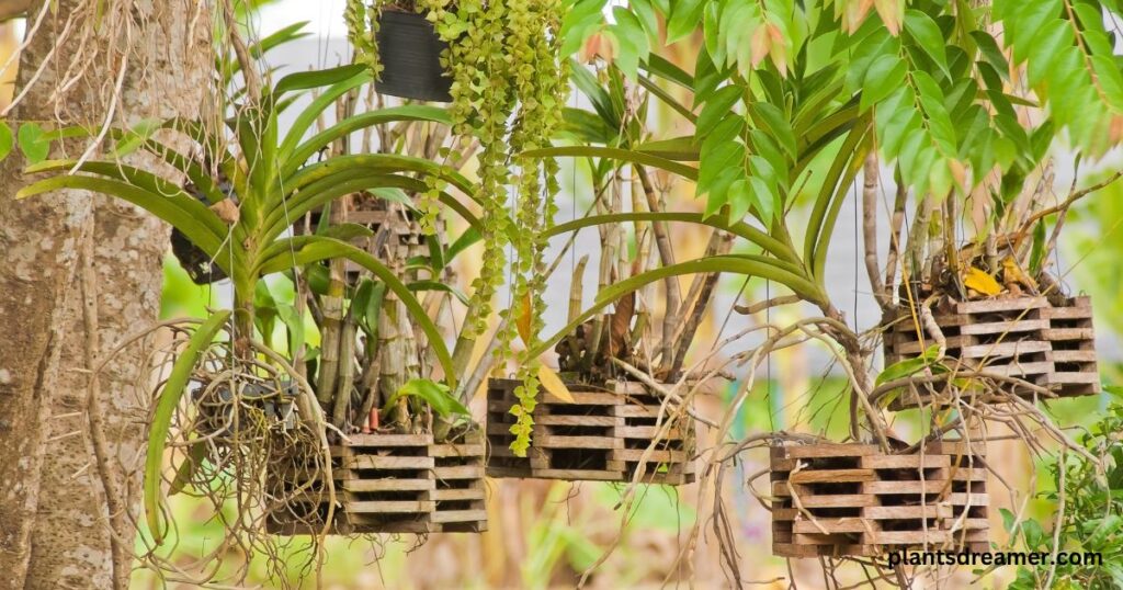 Indoor Hanging Planters Saves Space